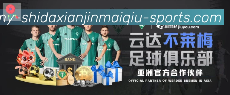 未来规划